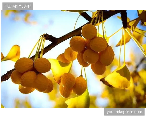 开球规则详解：裁判判罚标准及常见误区解析